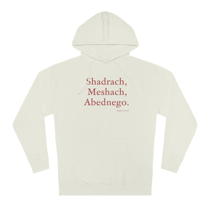 Faith in the Fire Unisex Hoodie Shadrach, Meshach, Abednego